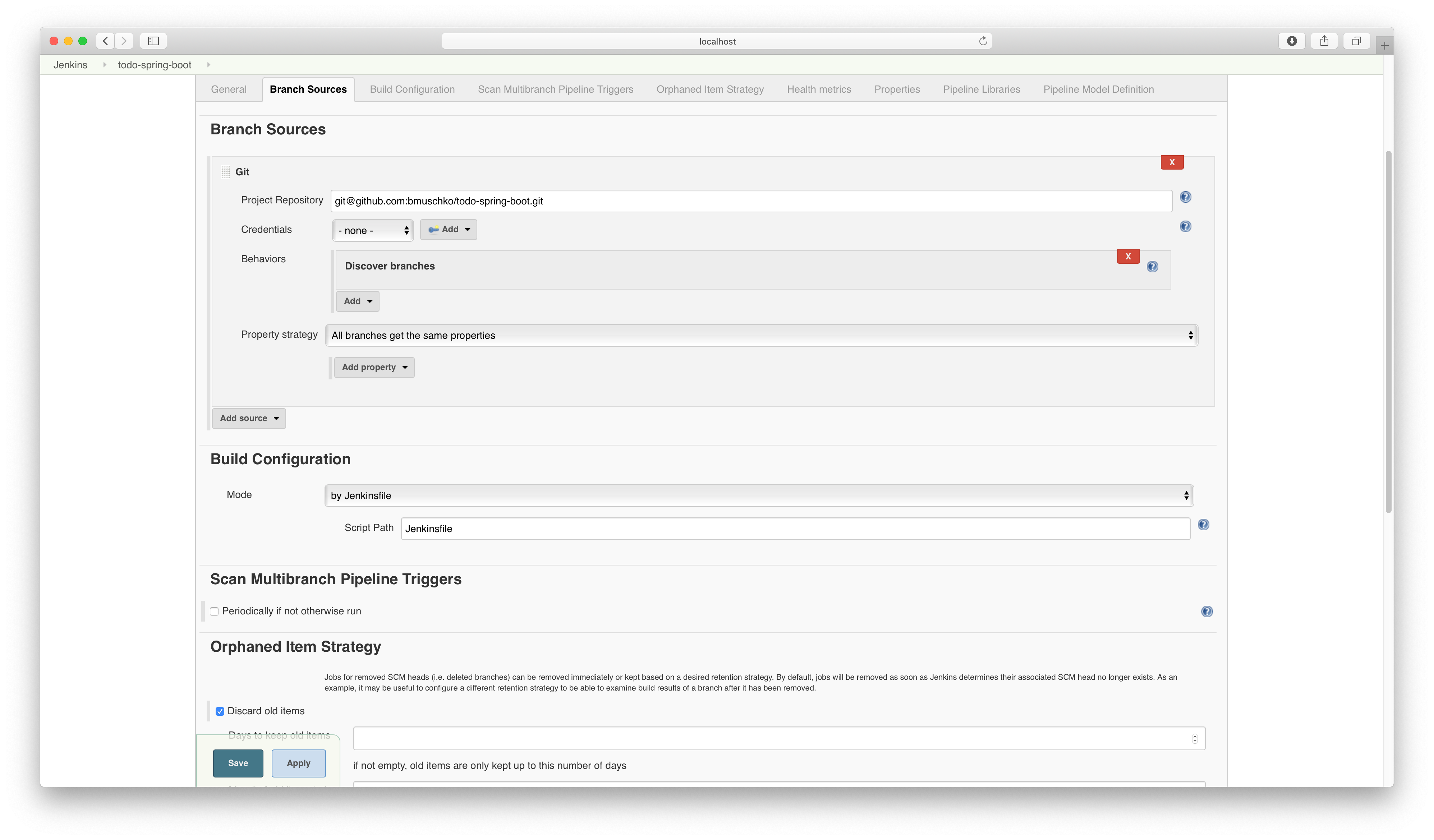 Multi-Branch Pipeline Job